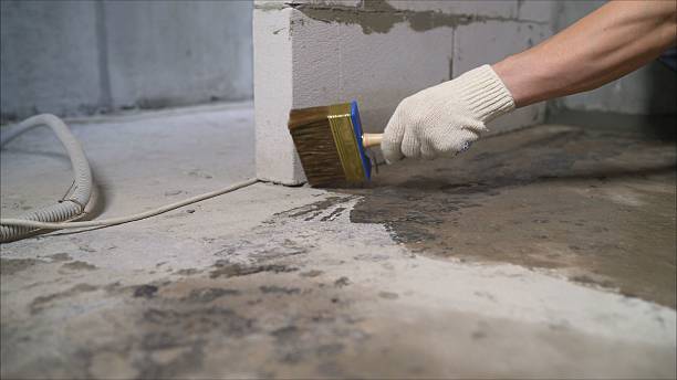 SJ Waterproofing Pros Waterproofing coverage map for Forest, VA and surrounding area
